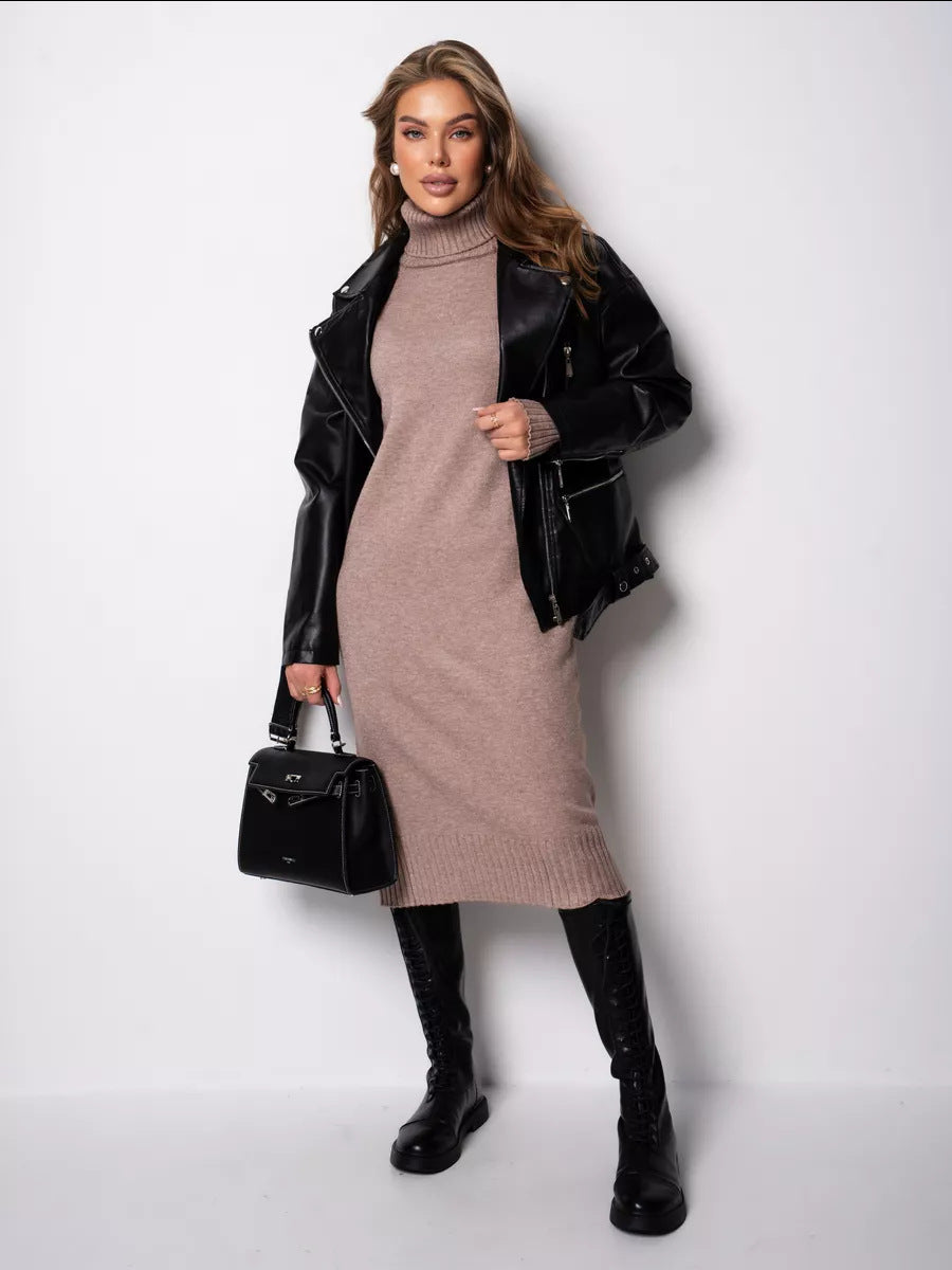 Moncelia Vibeke Turtleneck Knit Sweater Dress