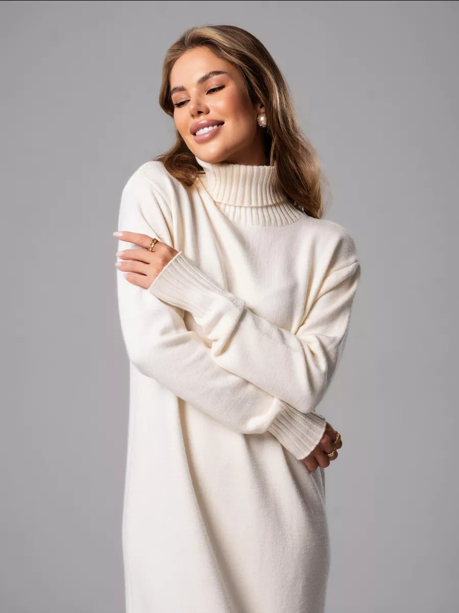 Moncelia Vibeke Turtleneck Knit Sweater Dress
