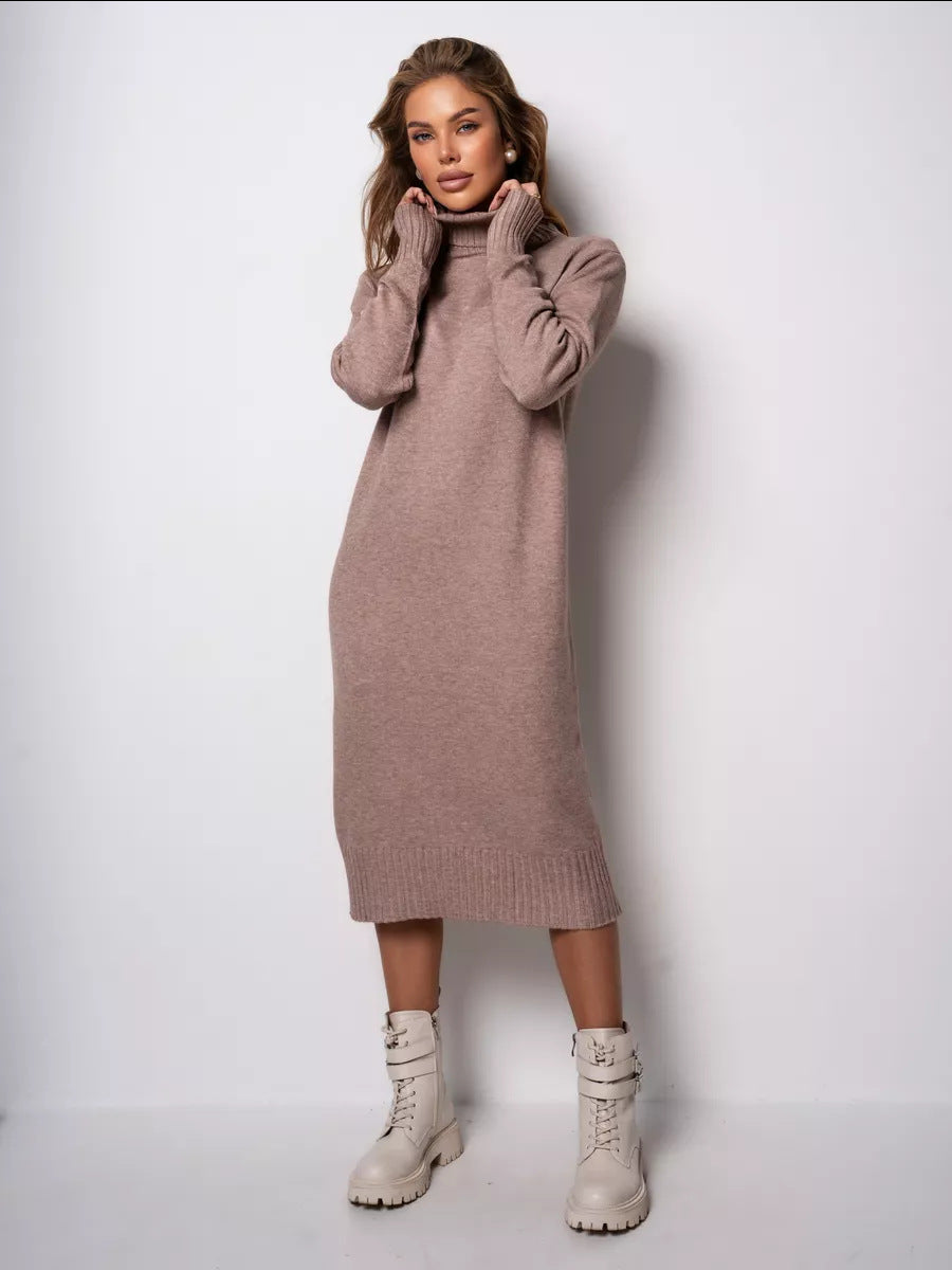 Moncelia Vibeke Turtleneck Knit Sweater Dress