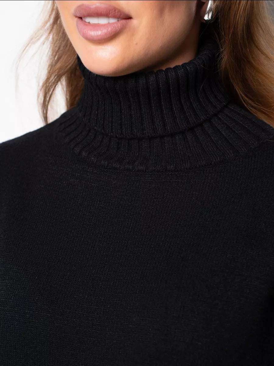 Moncelia Vibeke Turtleneck Knit Sweater Dress
