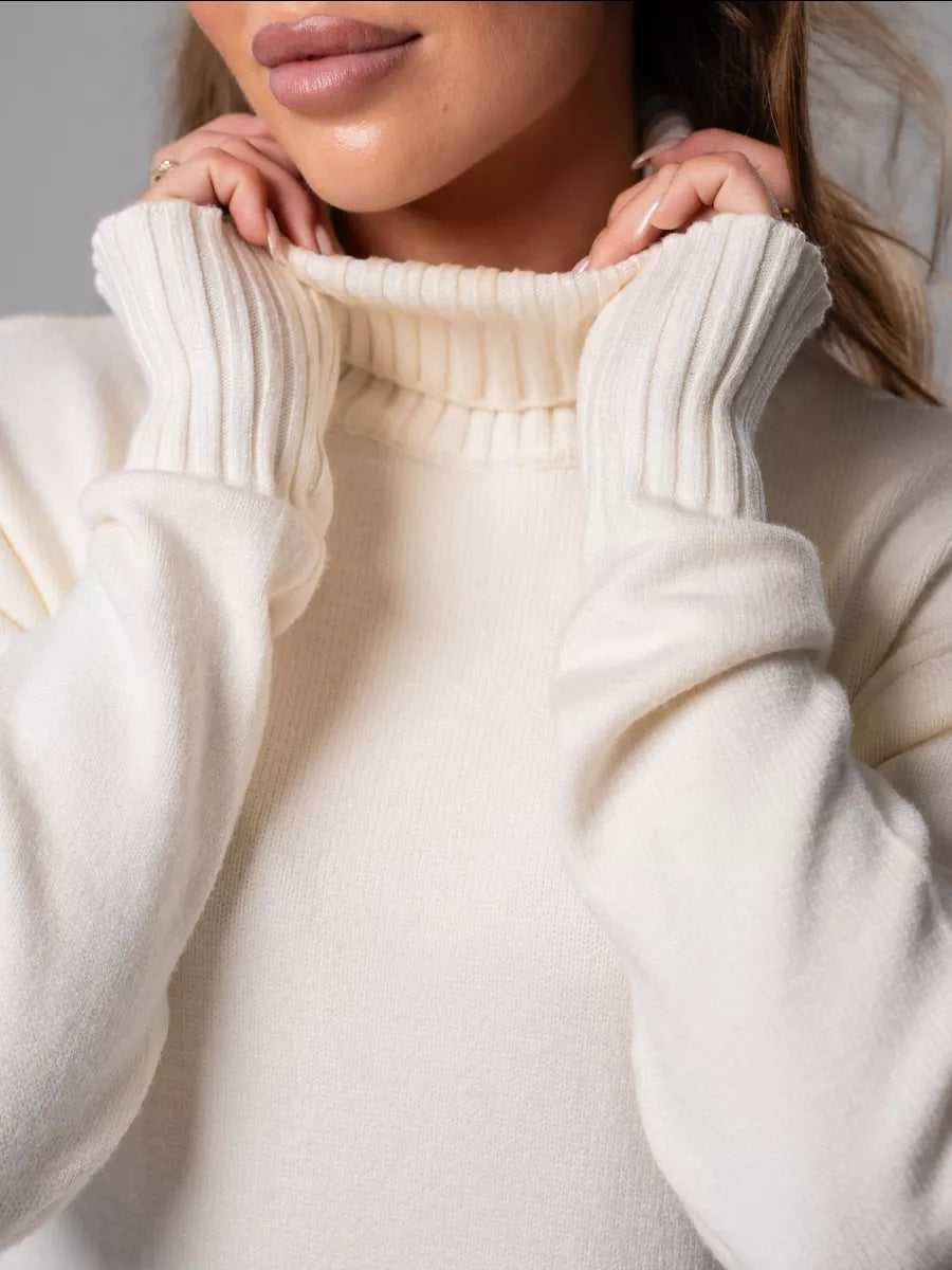 Moncelia Vibeke Turtleneck Knit Sweater Dress