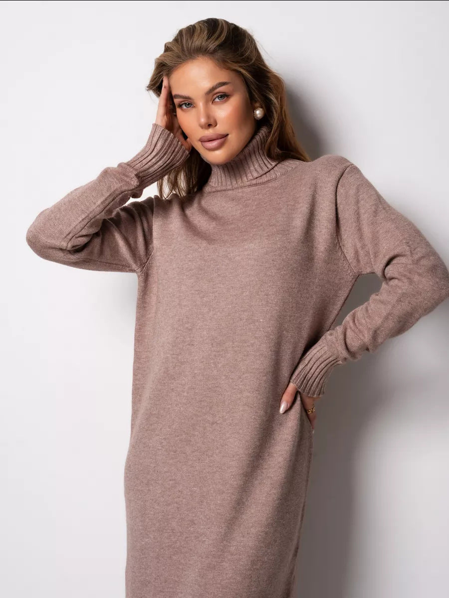 Moncelia Vibeke Turtleneck Knit Sweater Dress