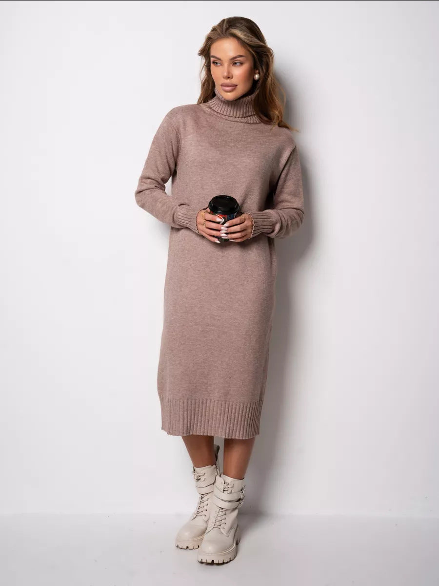Moncelia Vibeke Turtleneck Knit Sweater Dress