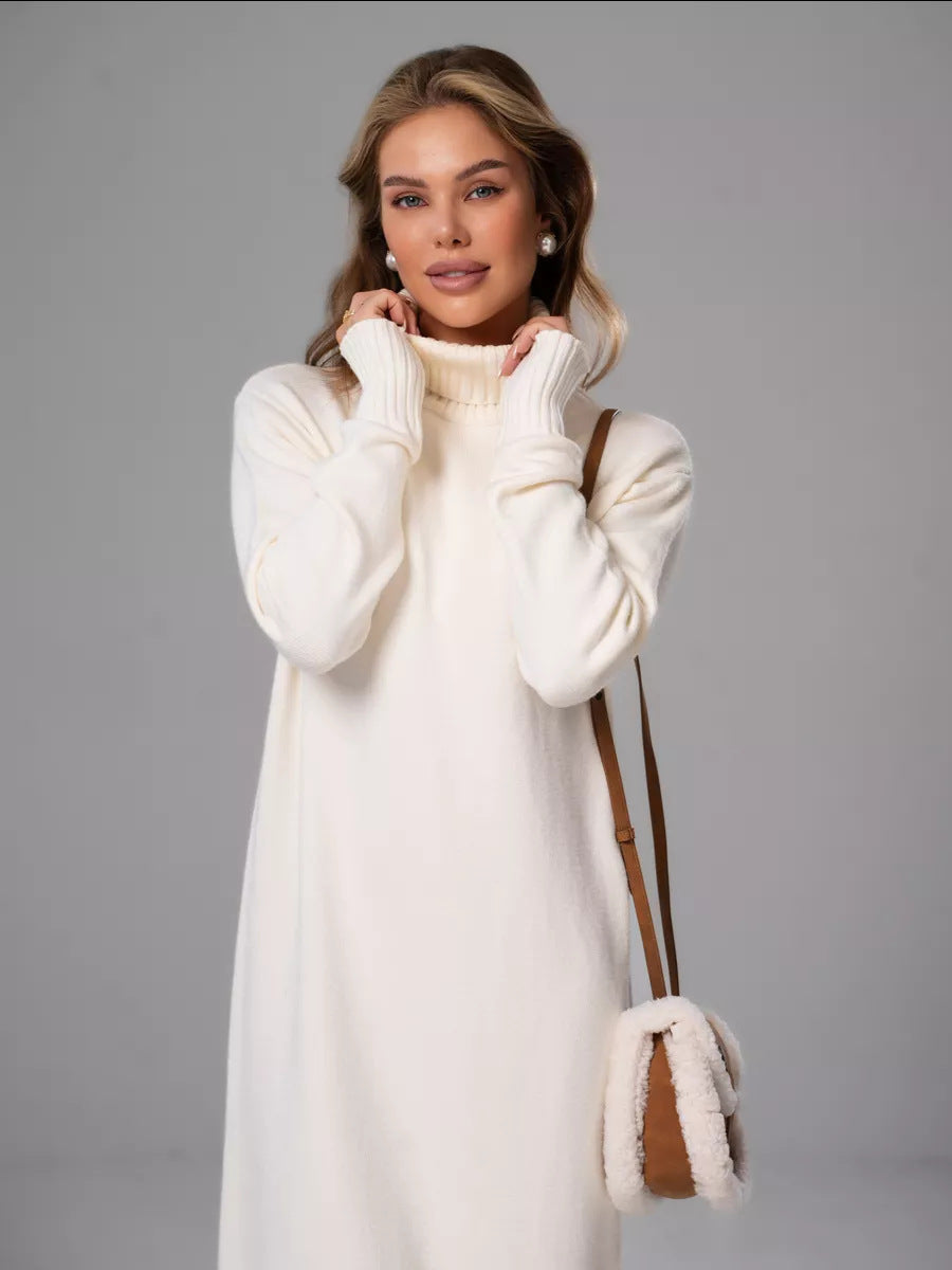 Moncelia Vibeke Turtleneck Knit Sweater Dress