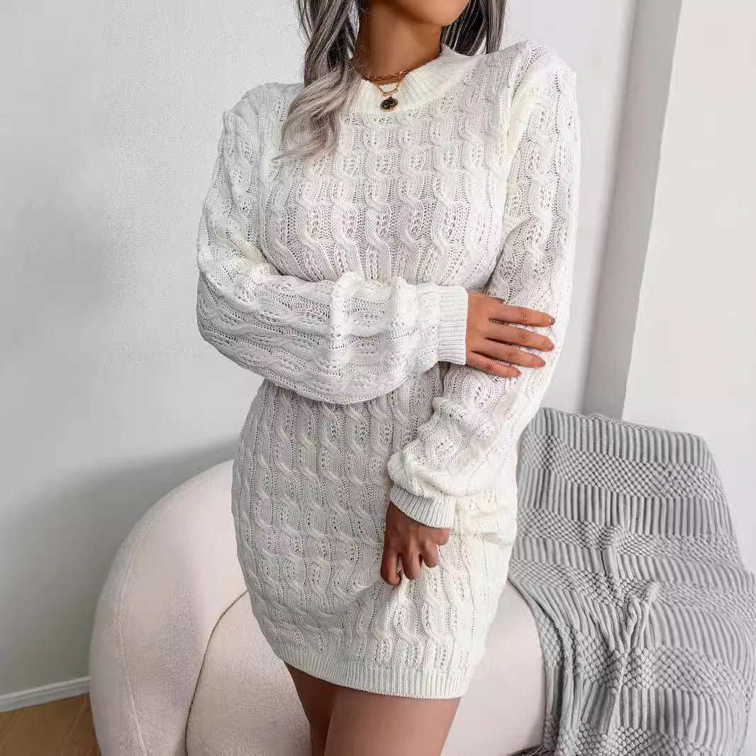 Moncelia Domitia Crew Neck Textured Sweater Dress
