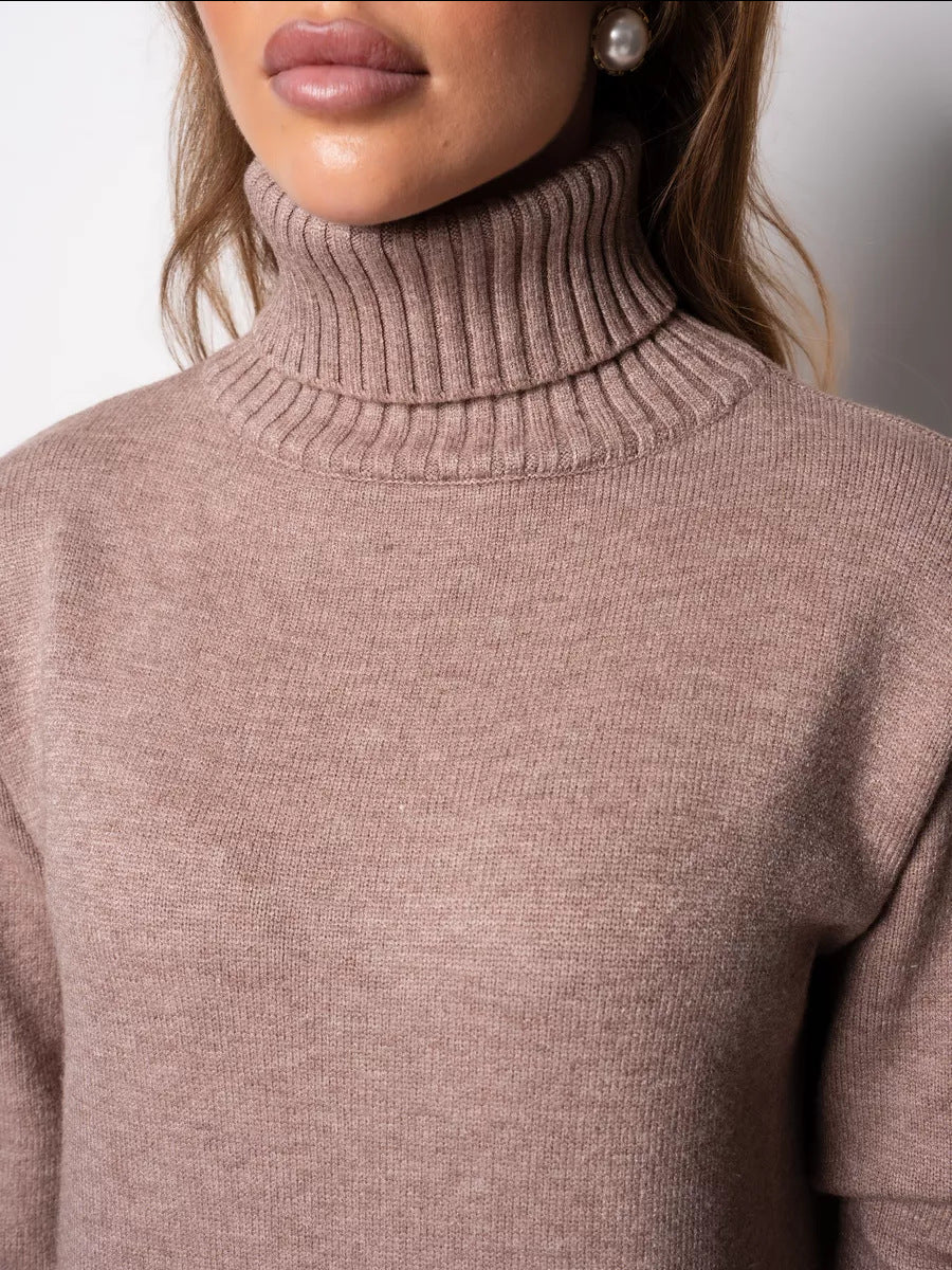 Moncelia Vibeke Turtleneck Knit Sweater Dress