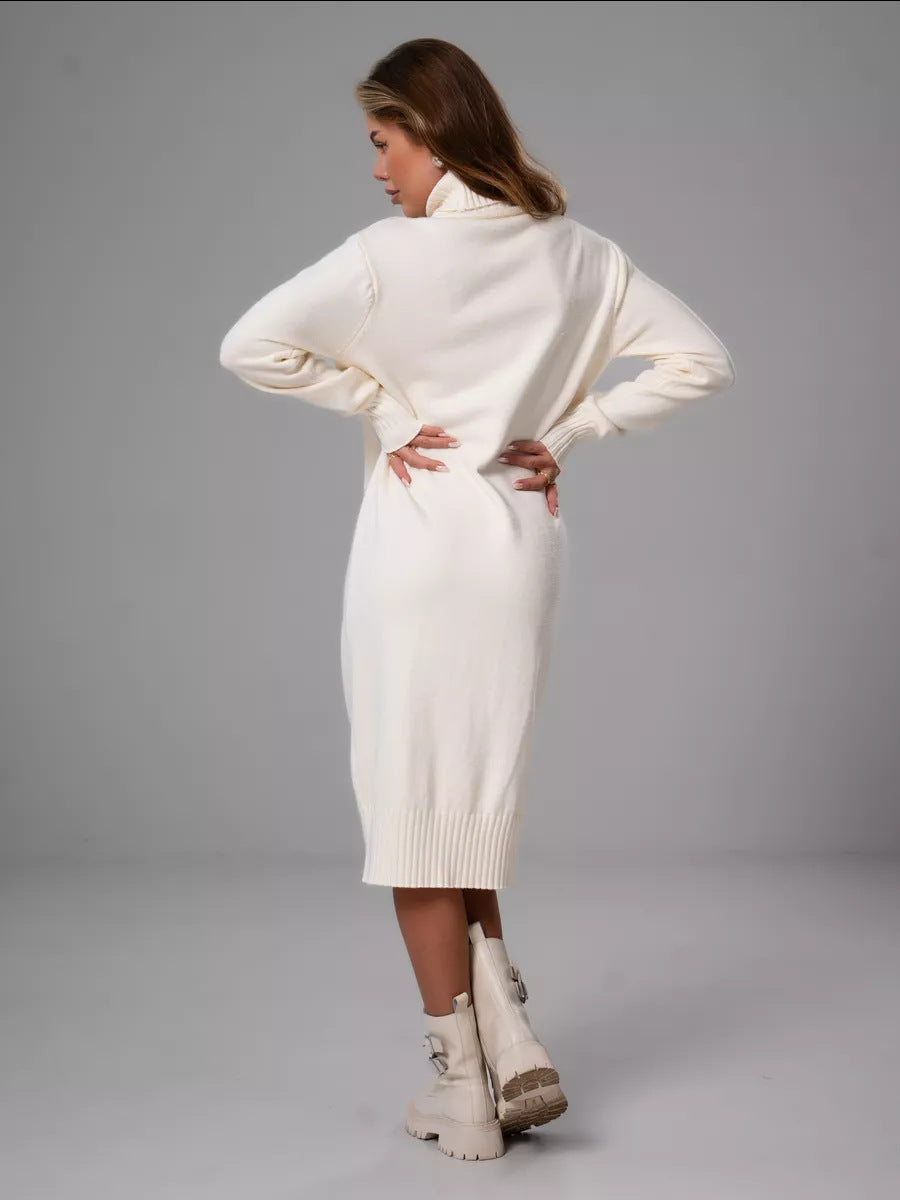 Moncelia Vibeke Turtleneck Knit Sweater Dress