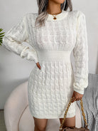 Moncelia Domitia Crew Neck Textured Sweater Dress
