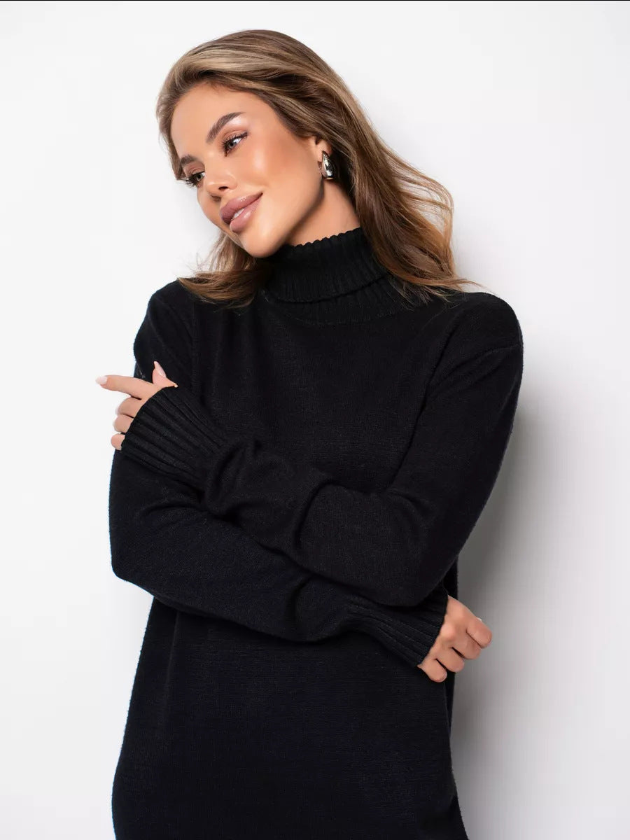 Moncelia Vibeke Turtleneck Knit Sweater Dress